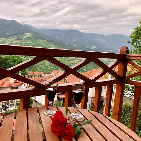 Apostolos Hotel Metsovo Eksteriør billede