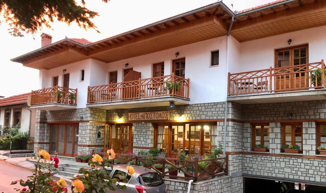 Apostolos Hotel Metsovo Eksteriør billede
