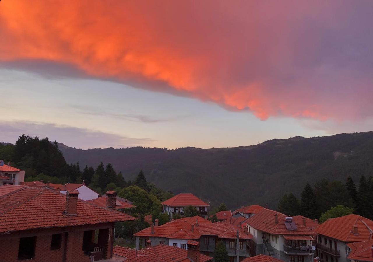 Apostolos Hotel Metsovo Eksteriør billede