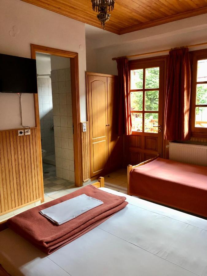 Apostolos Hotel Metsovo Eksteriør billede