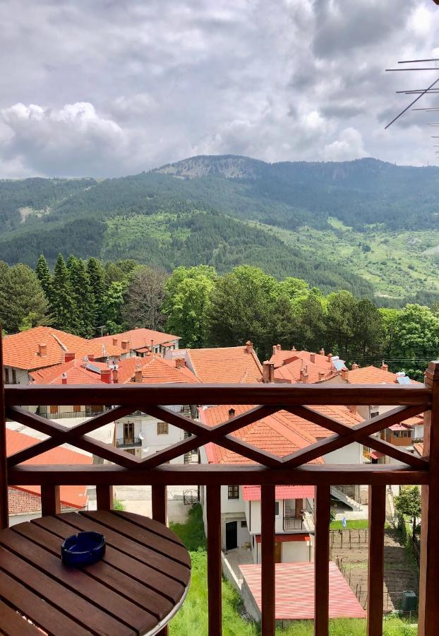 Apostolos Hotel Metsovo Eksteriør billede