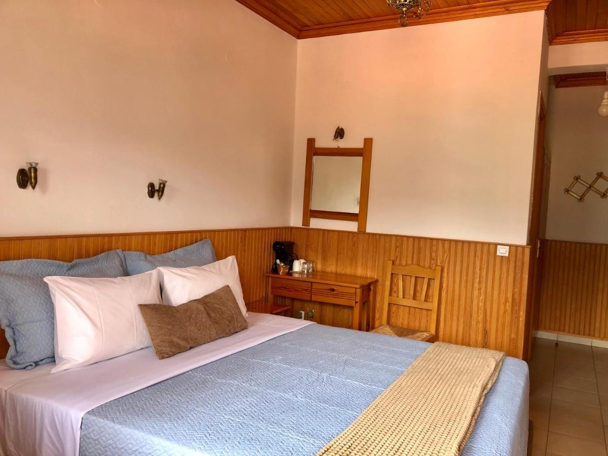 Apostolos Hotel Metsovo Eksteriør billede