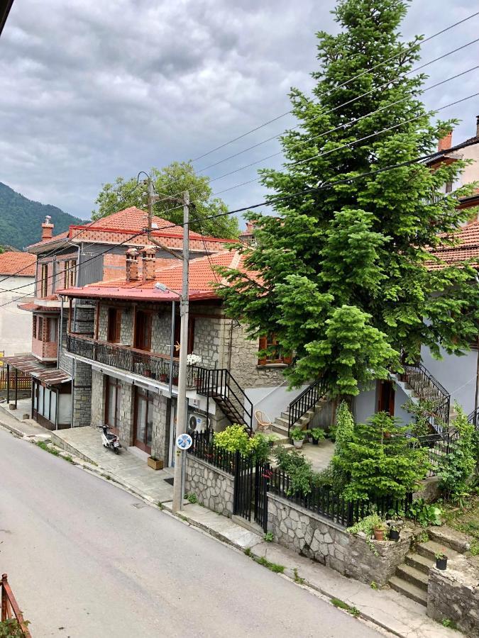 Apostolos Hotel Metsovo Eksteriør billede