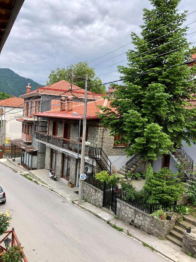 Apostolos Hotel Metsovo Eksteriør billede