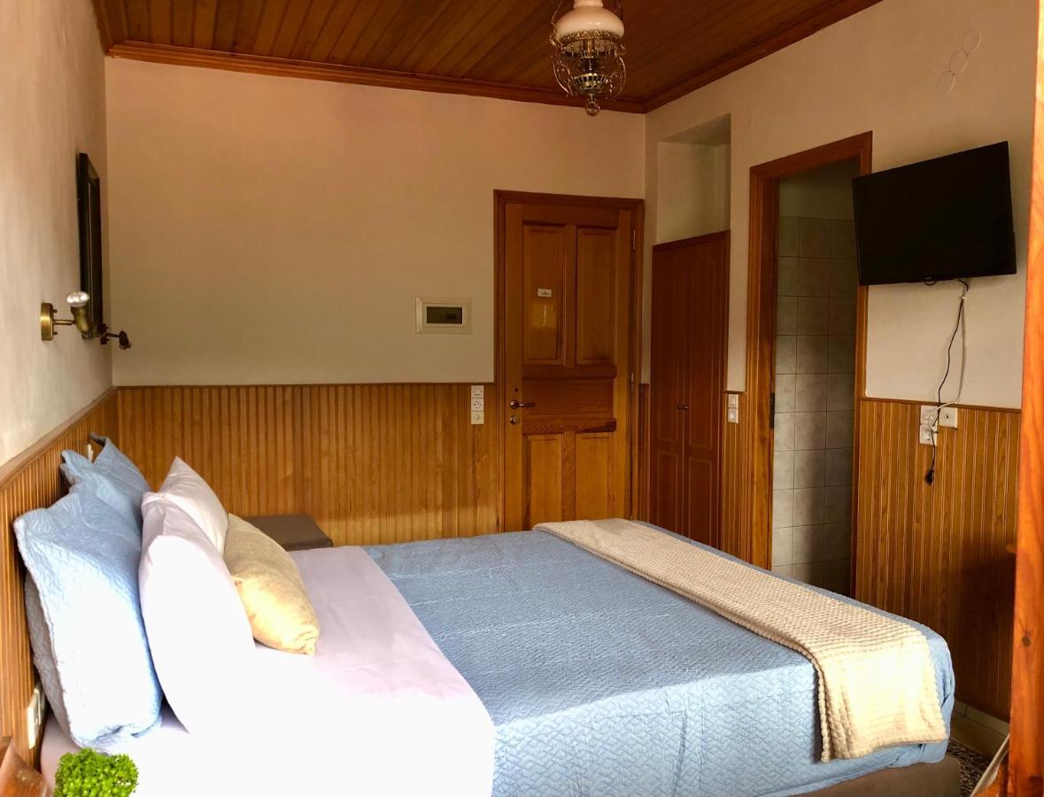 Apostolos Hotel Metsovo Eksteriør billede