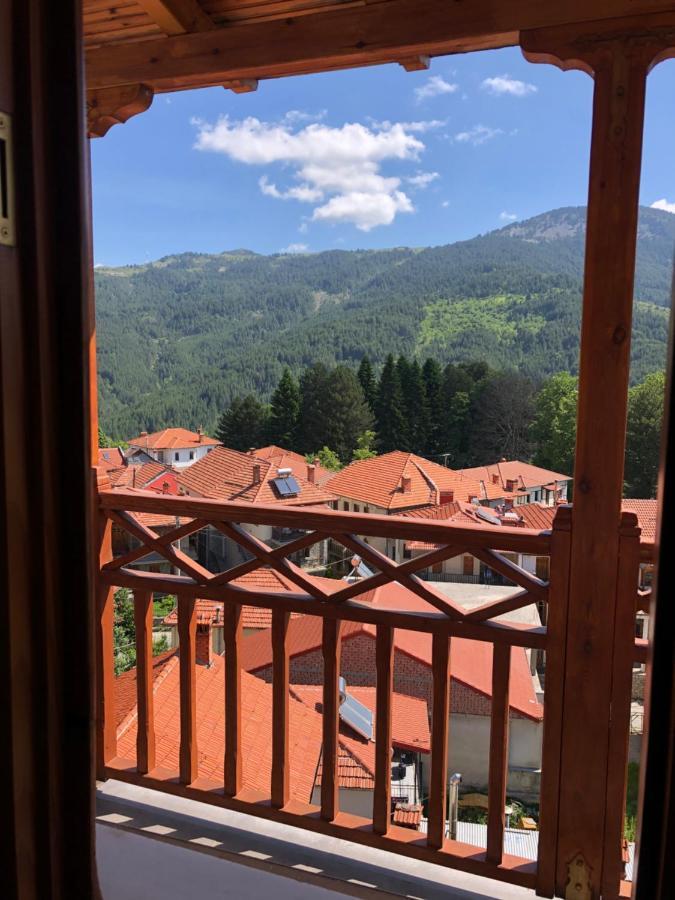 Apostolos Hotel Metsovo Eksteriør billede