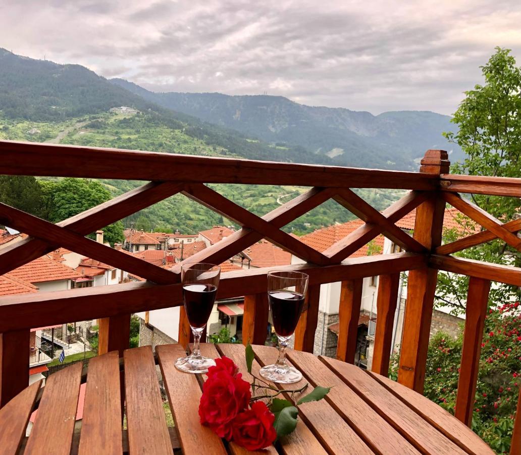 Apostolos Hotel Metsovo Eksteriør billede