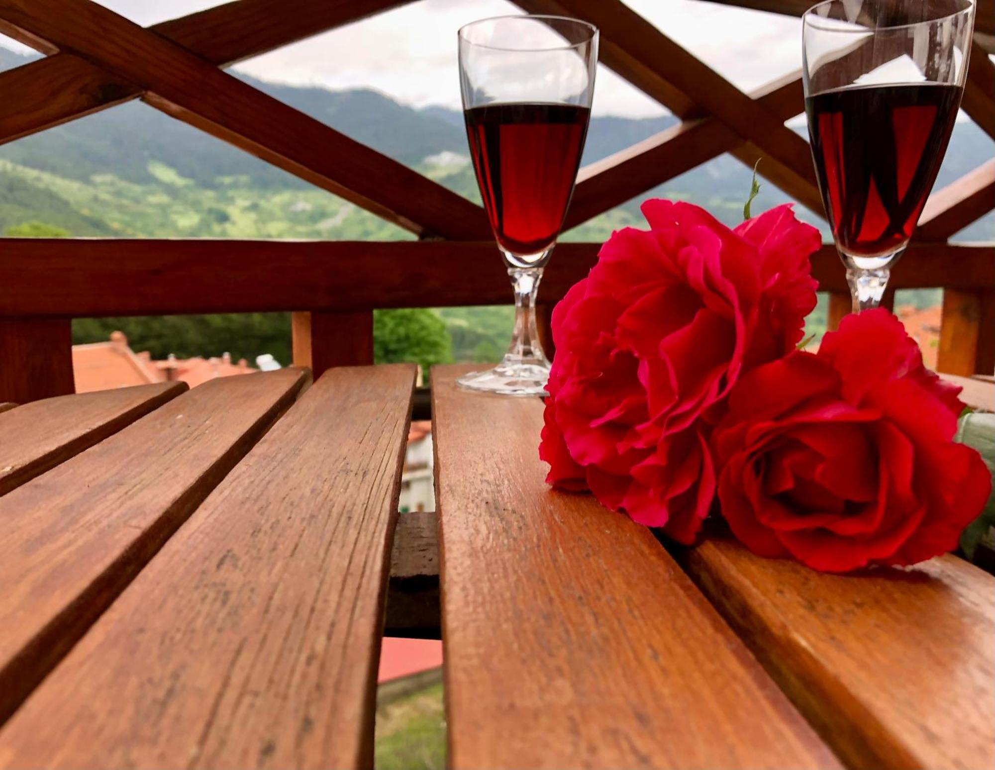 Apostolos Hotel Metsovo Eksteriør billede