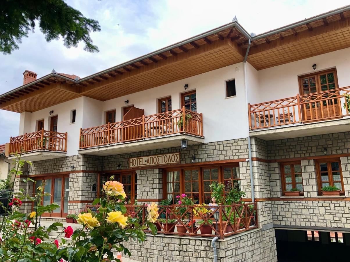 Apostolos Hotel Metsovo Eksteriør billede