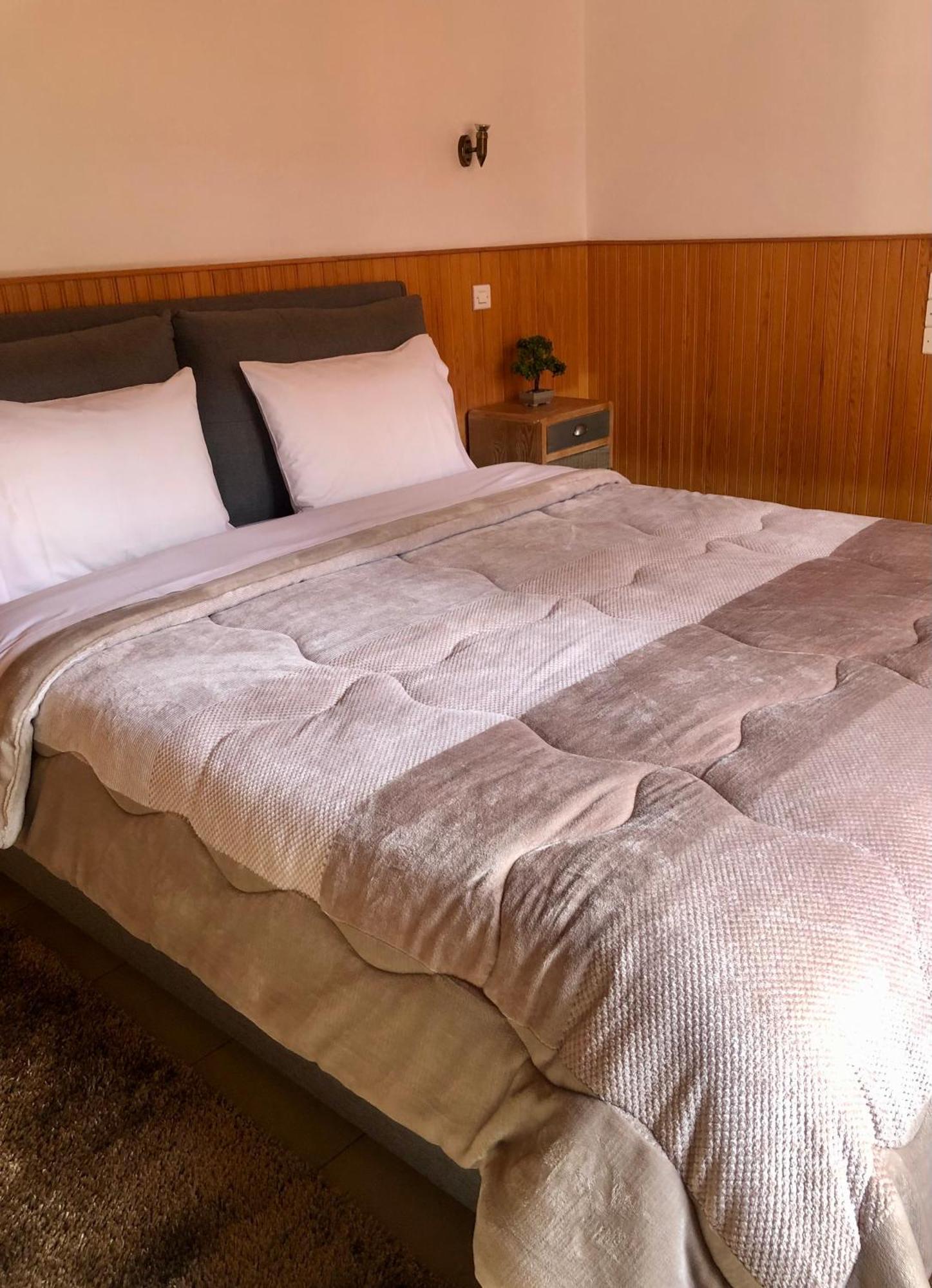 Apostolos Hotel Metsovo Eksteriør billede