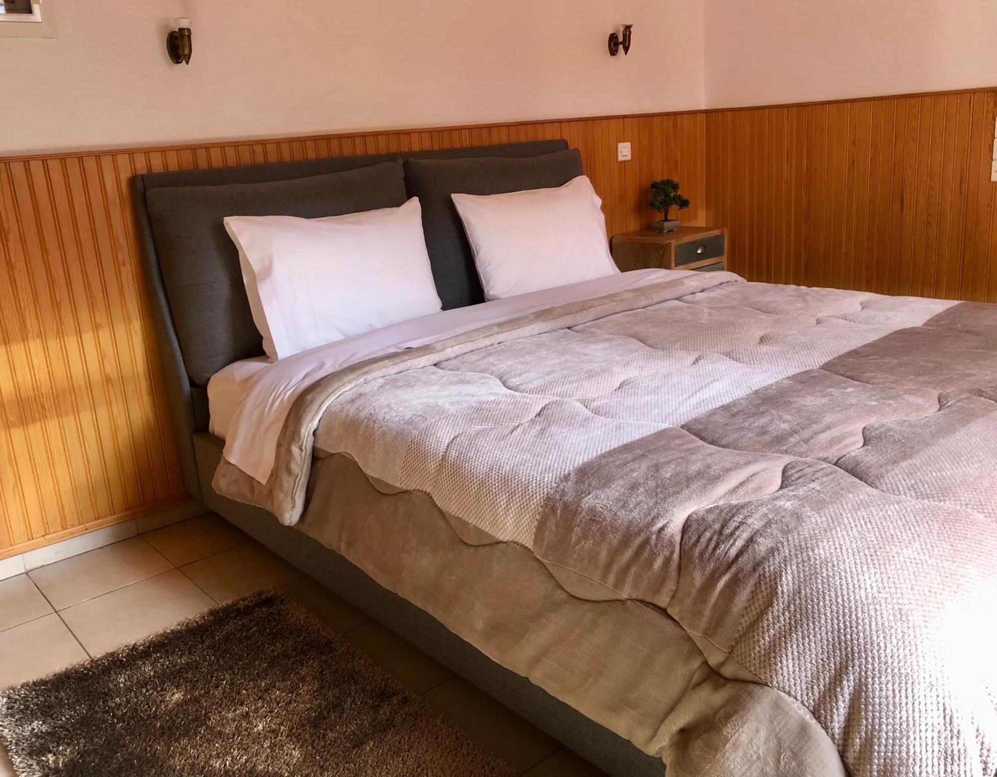 Apostolos Hotel Metsovo Eksteriør billede