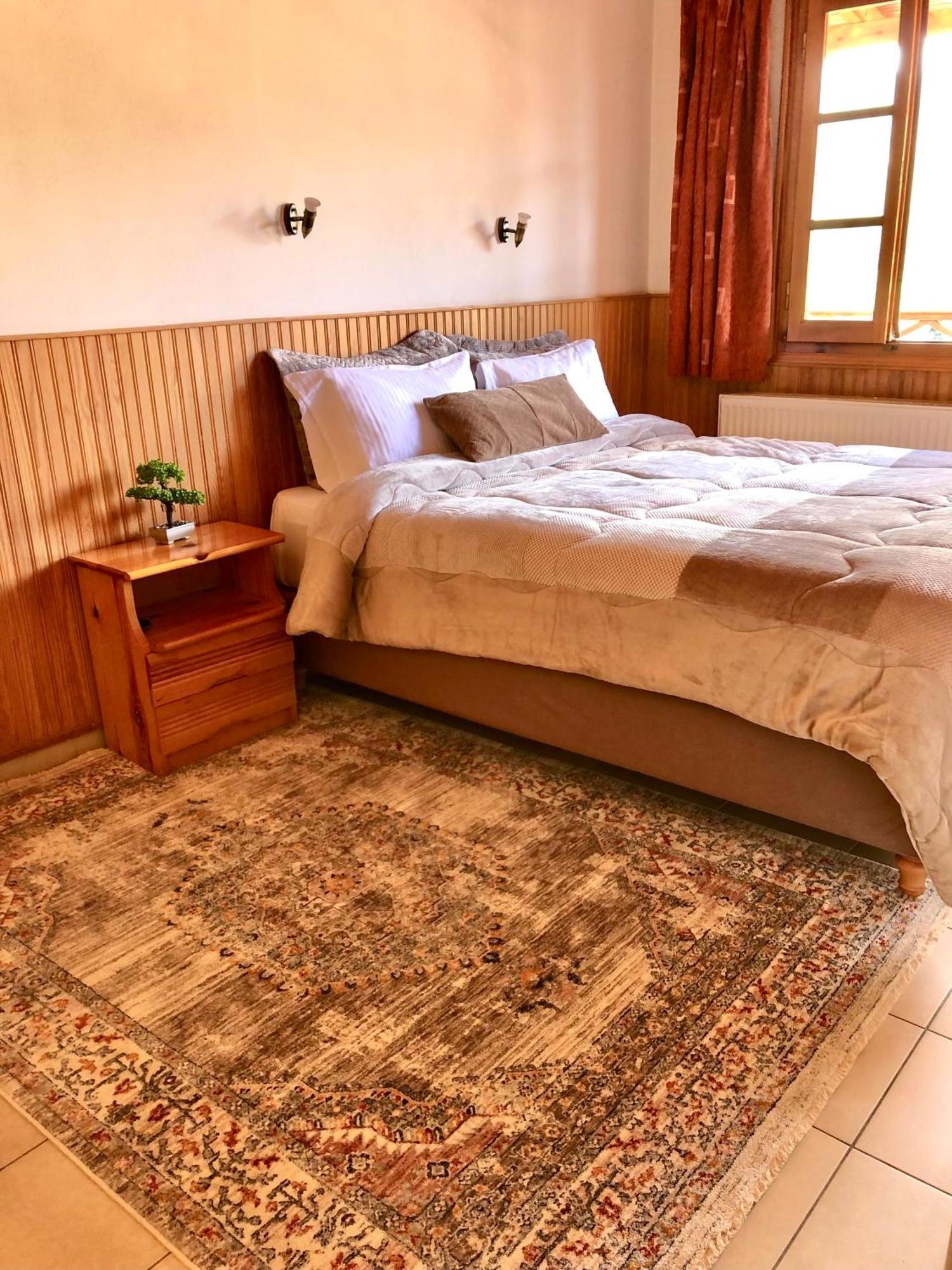 Apostolos Hotel Metsovo Eksteriør billede