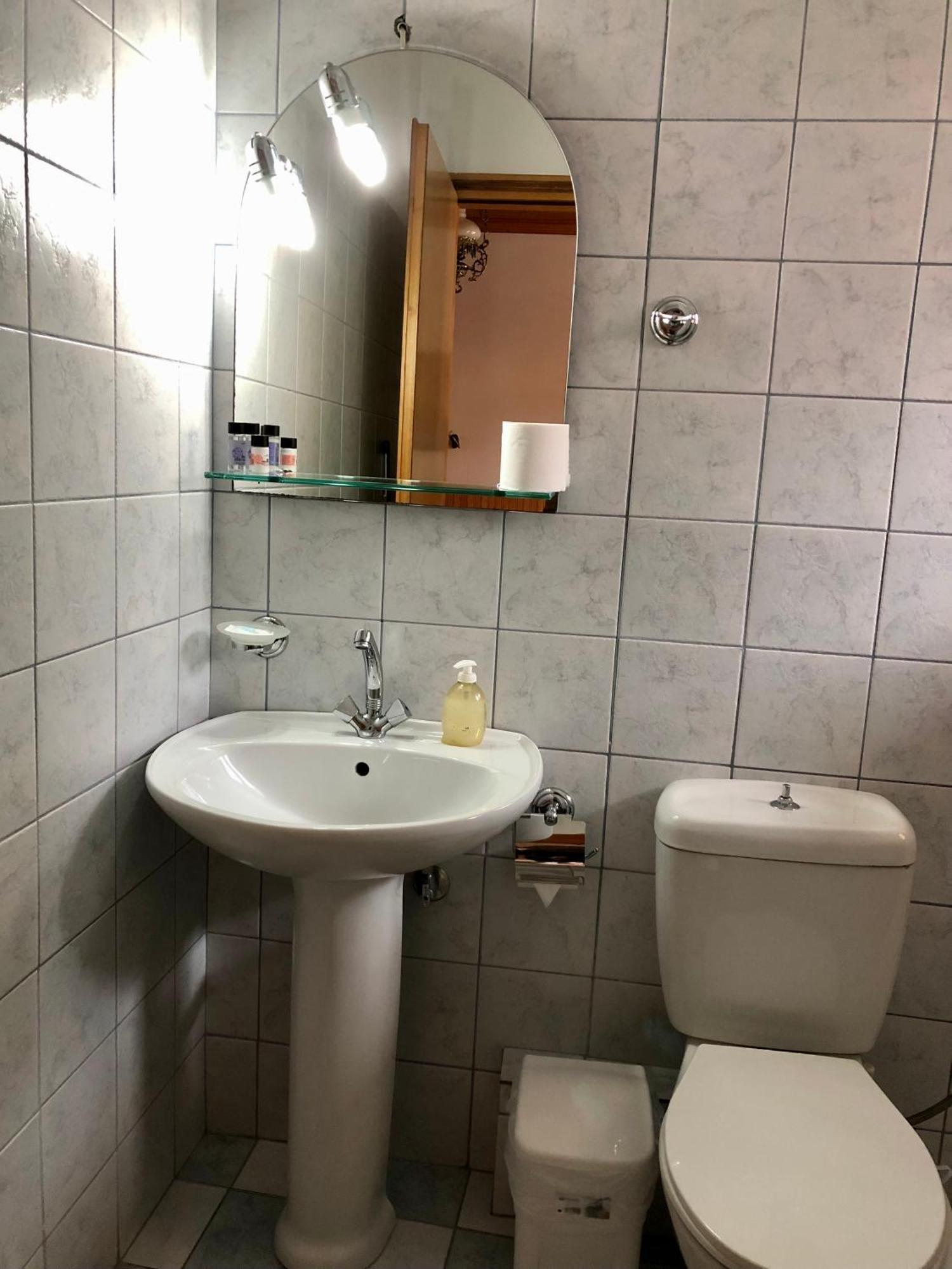 Apostolos Hotel Metsovo Værelse billede