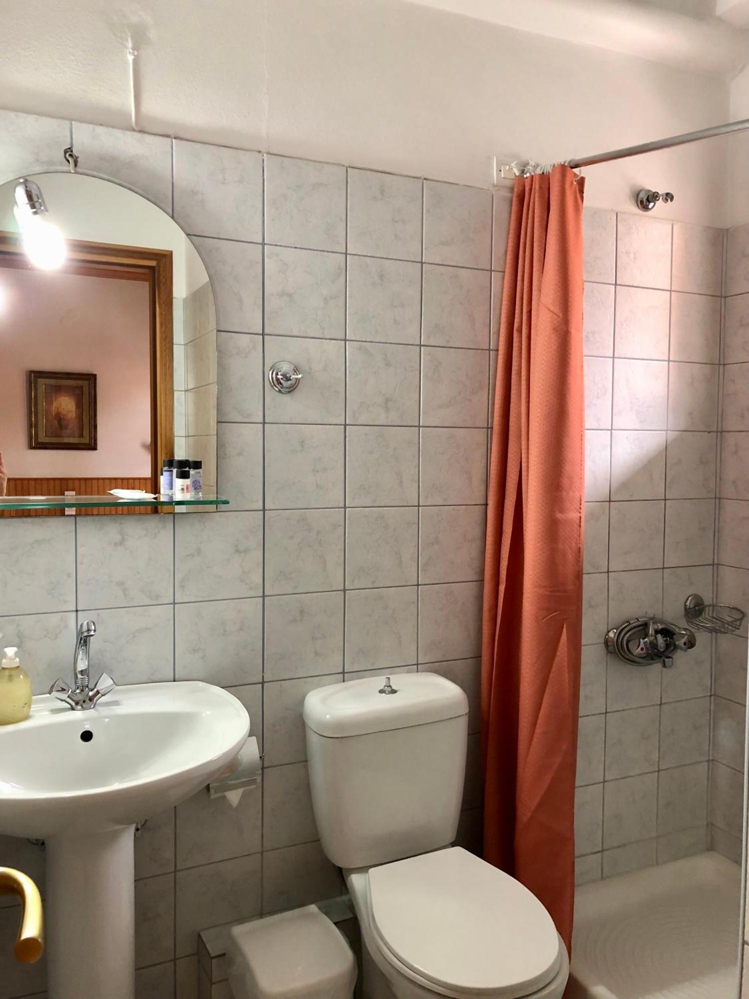 Apostolos Hotel Metsovo Værelse billede