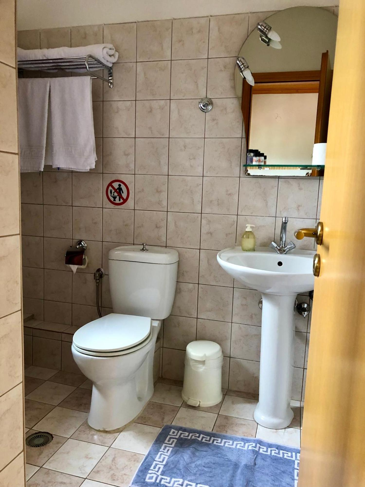 Apostolos Hotel Metsovo Værelse billede